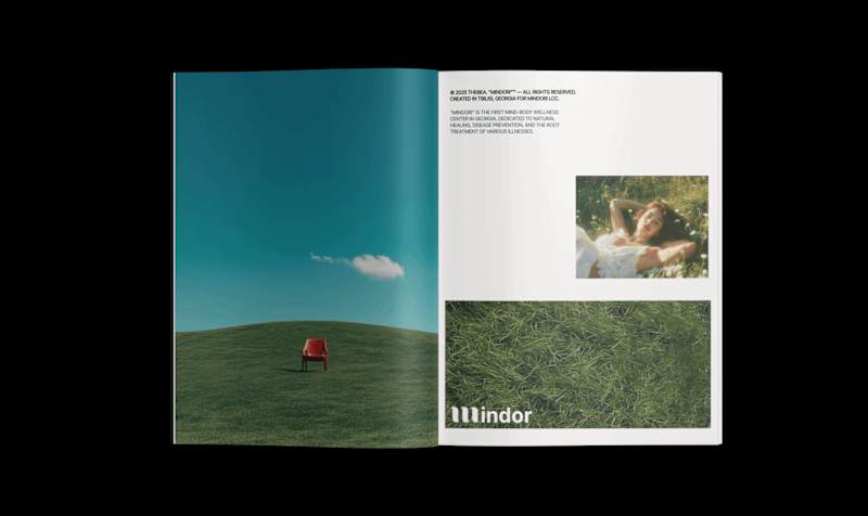 Cover image for Art Work Collection