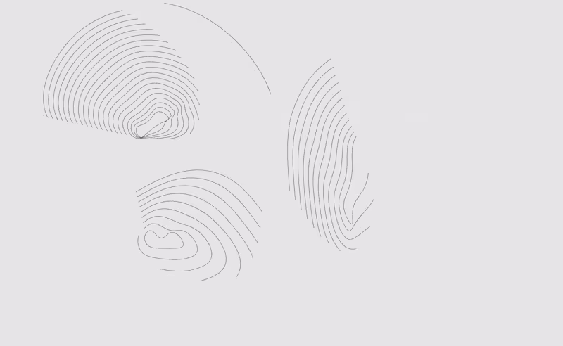Cover image for Portfolio » Next.js + Bespoke Animations