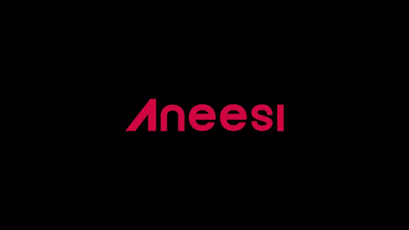 Cover image for Aneesi Creative Branding Suite & Design Guidelines