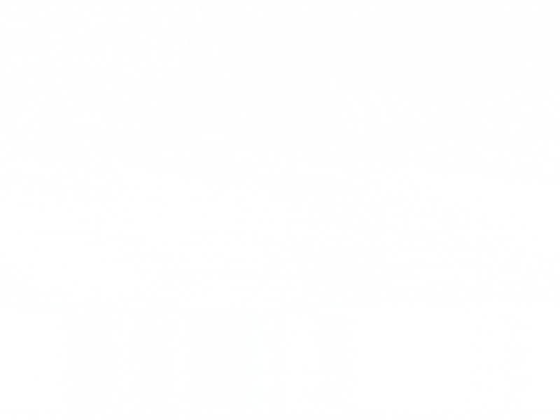 Cover image for Pure Reflection (Brand Identity &