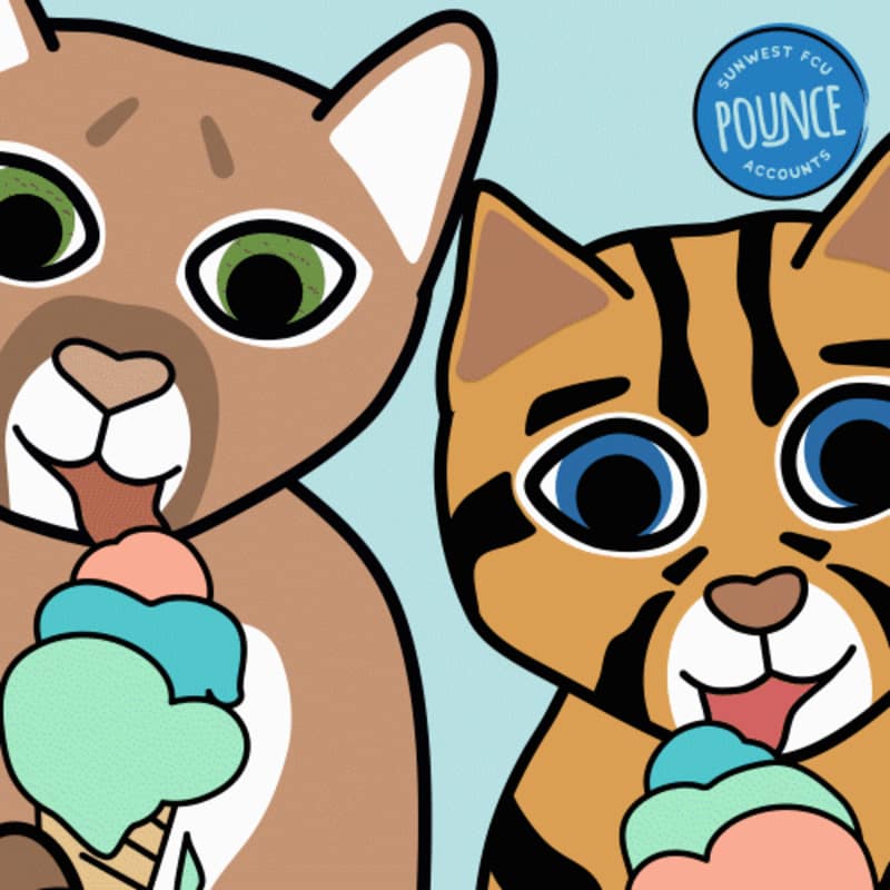 Cover image for Pounce Accounts Branding and Illustrations