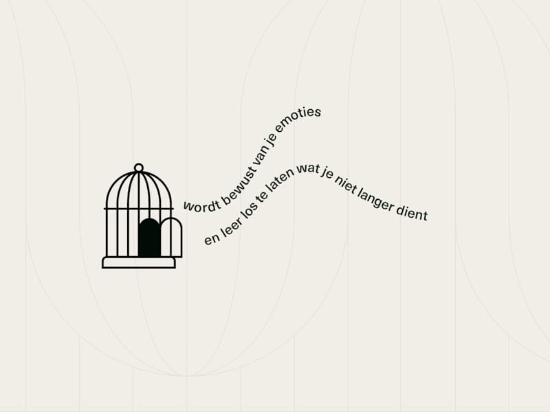 Cover image for Free as a Bird - Concept 02