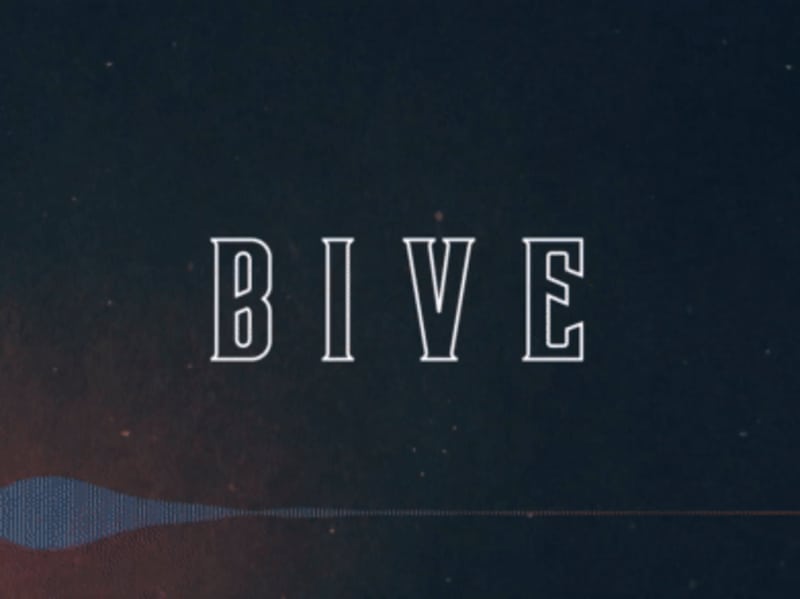 Cover image for 😎BIVE FEST