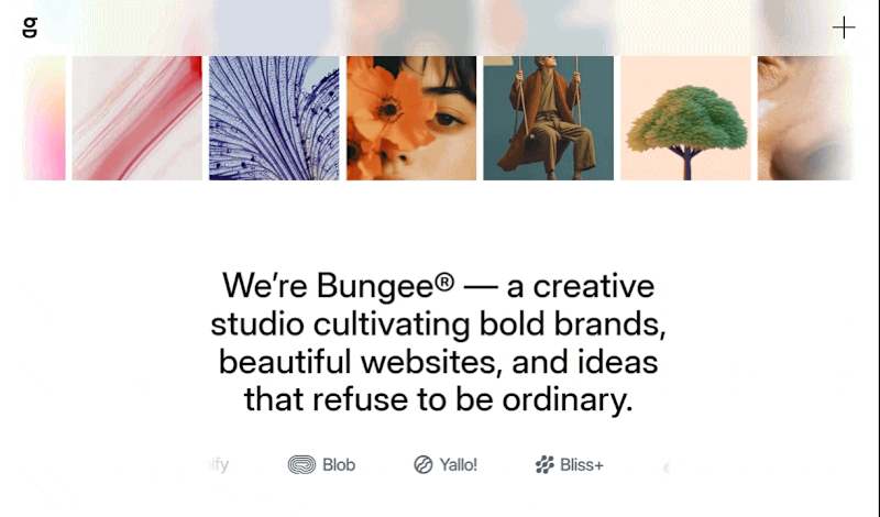 Cover image for I developed this creative studio application using Next.js, ...