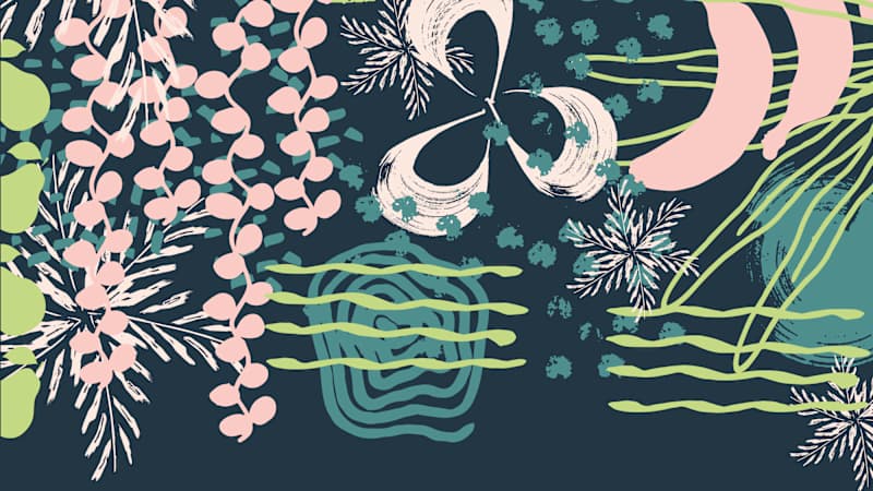 Cover image for Kind Life Movement | Visual Identity & Brochure Design