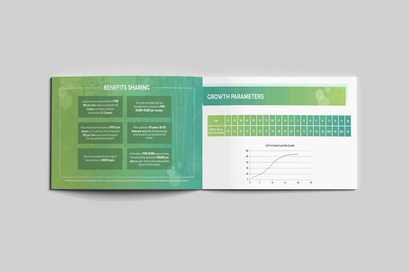 Cover image for Pitch Decks | Brand Books | Presentations