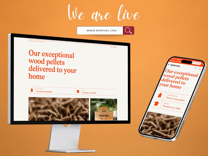 Cover image for Montvel — Smart French Pellet Barbecue