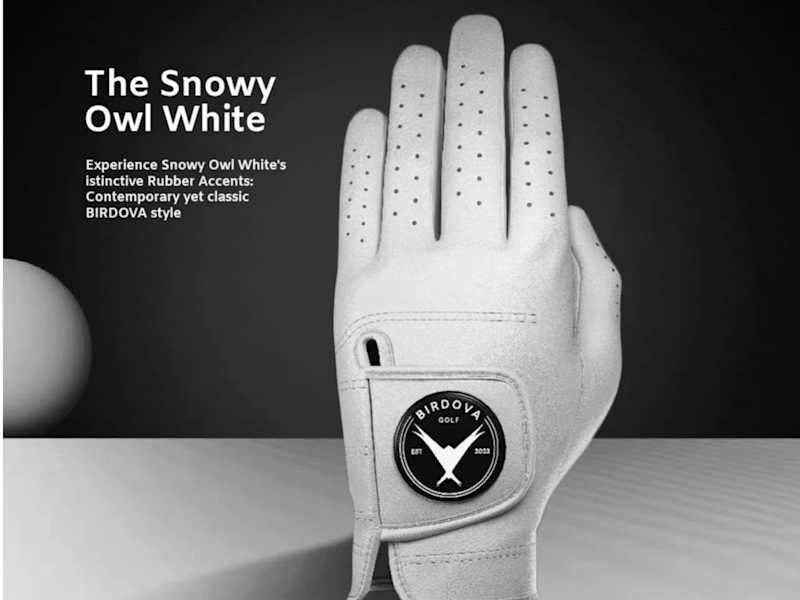 Cover image for Birdova Branding
