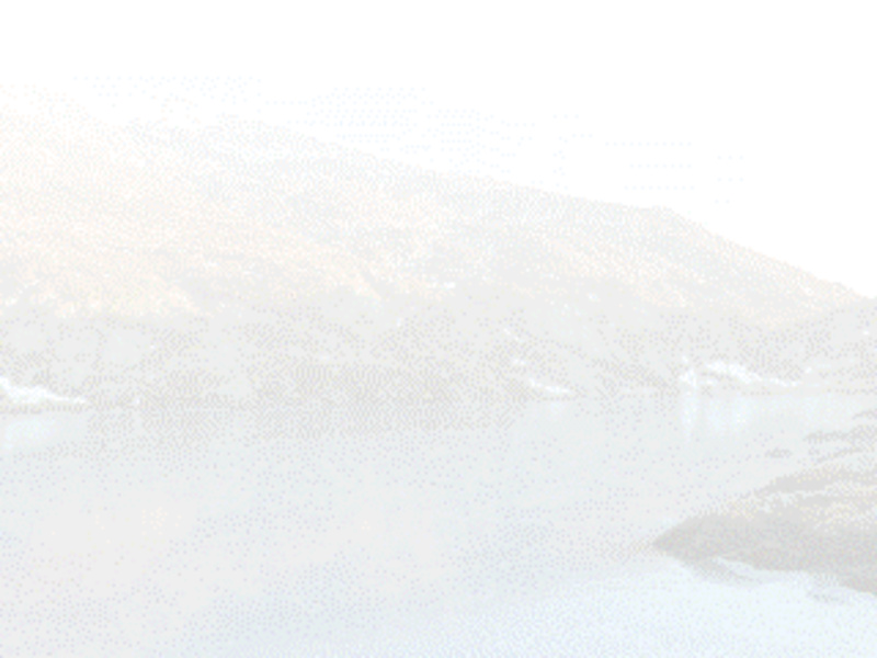 Cover image for Swiss Alps