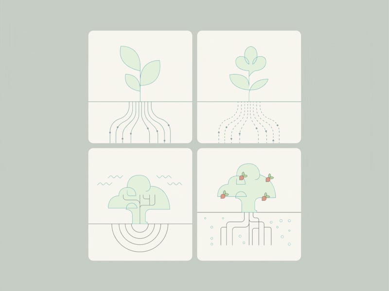 Cover image for Vorterrawater Website Design & Framer Dev