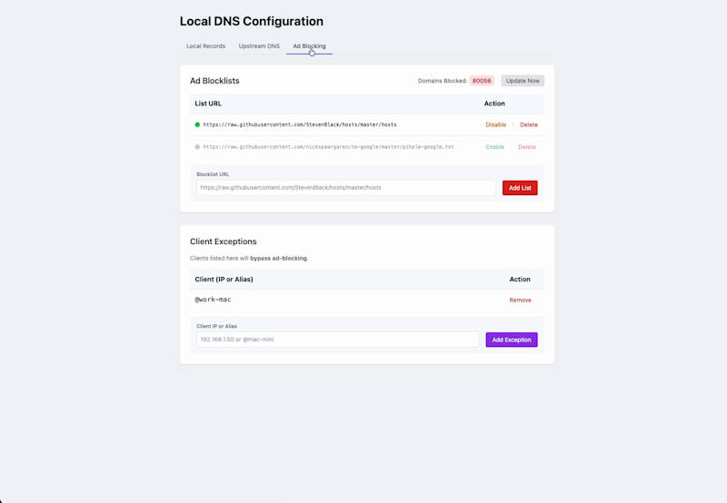 Cover image for Local DNS Manager