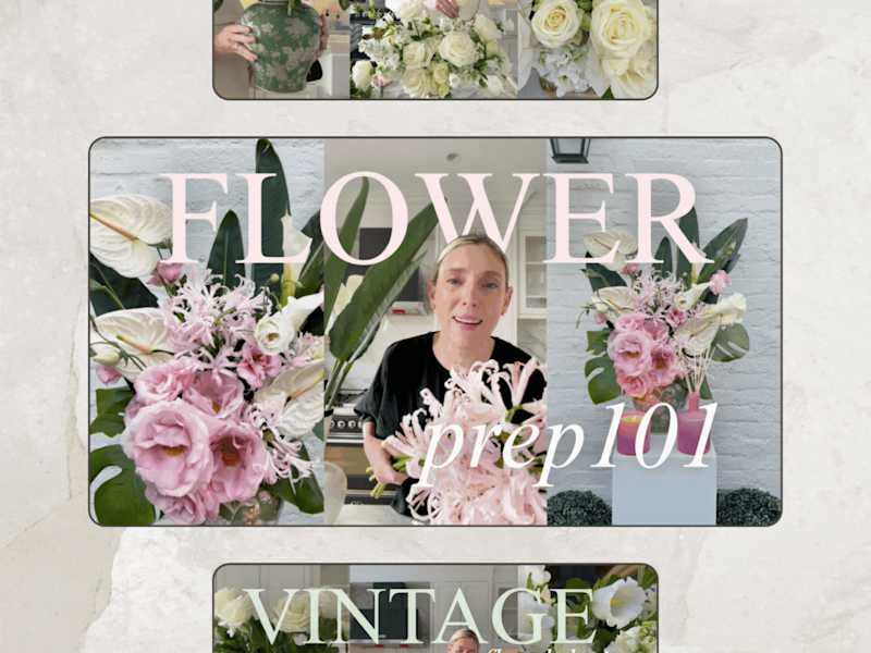 Cover image for Elevating Floral Content for Kyla Malkani