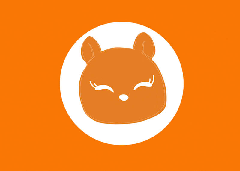 Cover image for RiMi | Montessori Toys Visual Identity