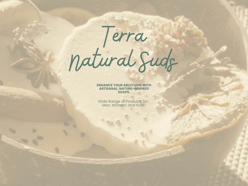 Cover image for Terra | Logo + Instagram Content Design