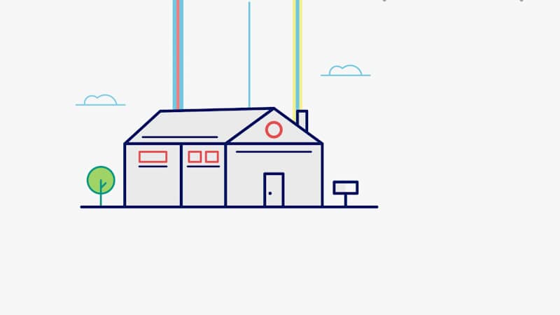 Cover image for Liefood | 2D Explainer