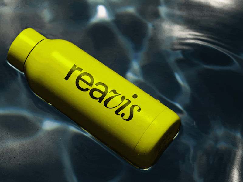 Cover image for Reavis | Real Estate Visionaries Brand Identity