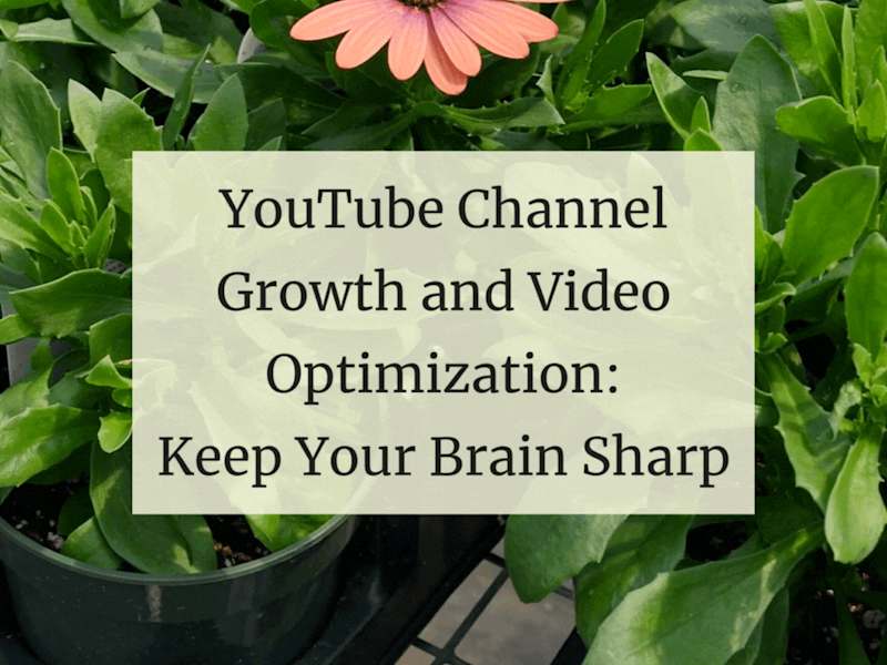 Cover image for YouTube Channel Growth & Optimization for Keep Your Brain Sharp