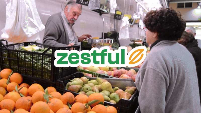 Cover image for Zestful Visual Identity