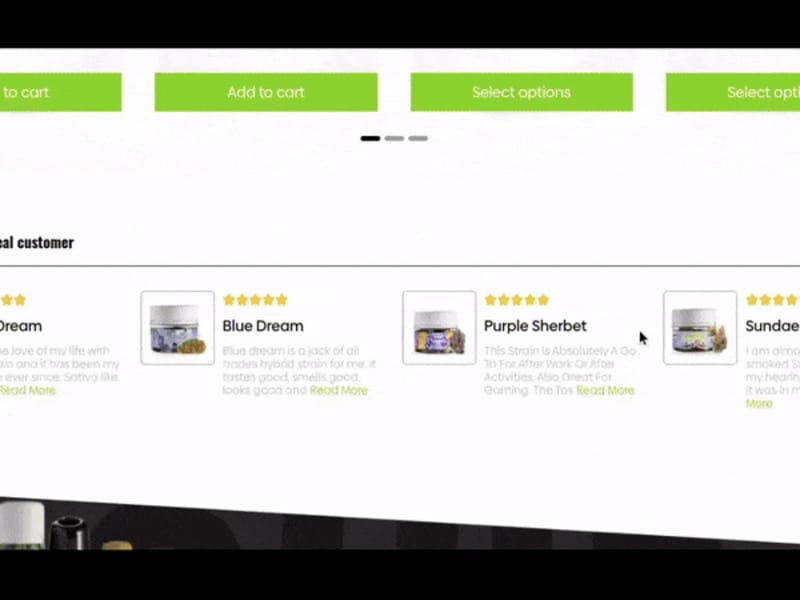 Cover image for WordPress Website Development | Green Hippo USA Dispensary