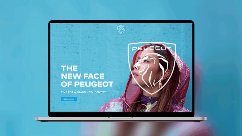 Cover image for Lions Of Our Time