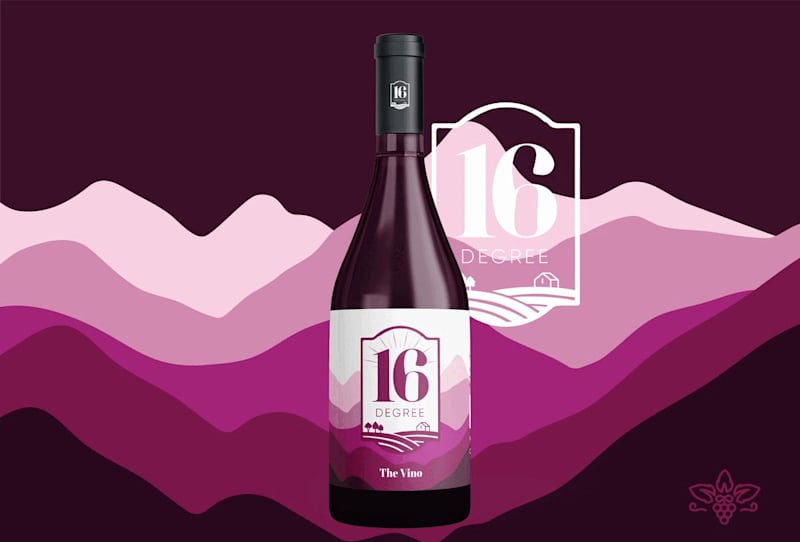 Cover image for 16 DEGREE FRUIT WINE | Brand Identity & Packaging on Behance