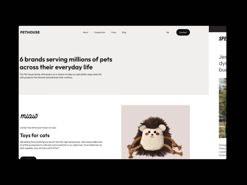 Cover image for Collection - Website Design & Development 