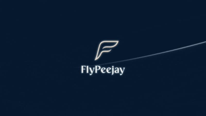 Cover image for FlyPeejay Branding Identity