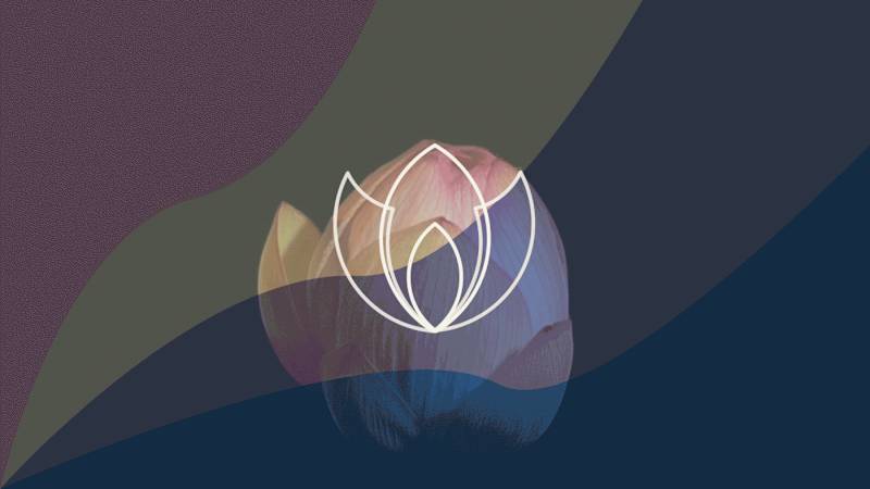 Cover image for Lotus - Personal Care Brand