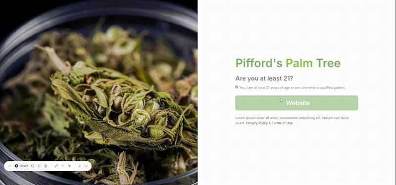 Cover image for Designed and developed a modern website for Pifford’s — Cann...