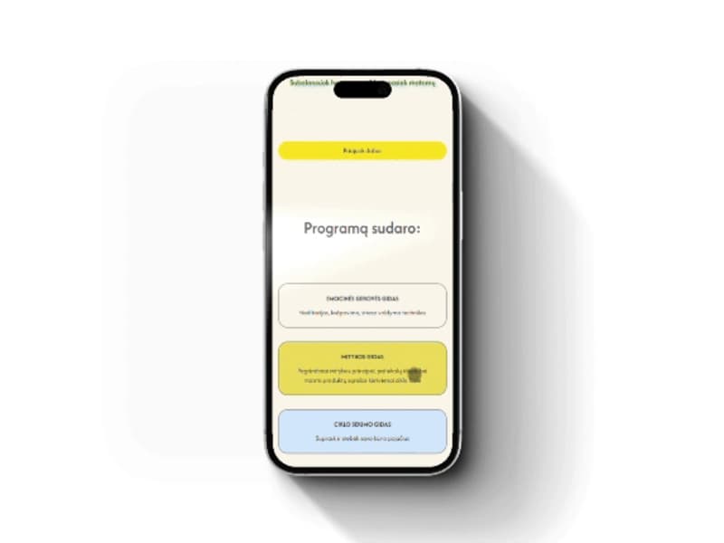 Cover image for Web Design for Women: PMS Guide