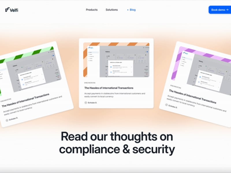 Cover image for Landing page for Stablecoin infrastructure business