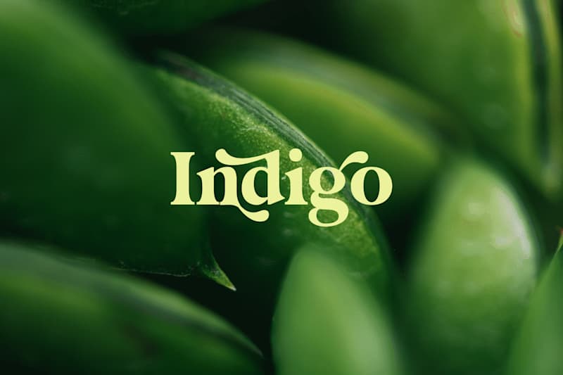 Cover image for Indigo - Brand Identity