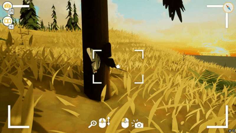 Cover image for Explore the Wild