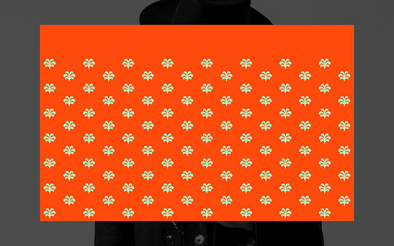 Cover image for Sonia Garbarino Brand