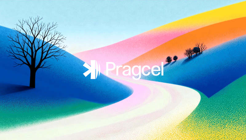 Cover image for Pragcel: Expert Branding and Visual Identity Services
