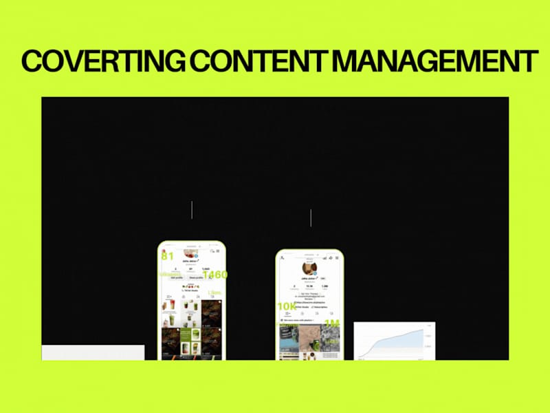 Cover image for TikTok Growth Strategy Implementation