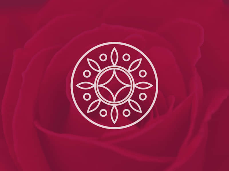 Cover image for Orchid Oasis | Logo Design + Business Cards