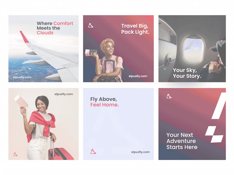 Cover image for Elpusfly | Logo and Brand Identity Design