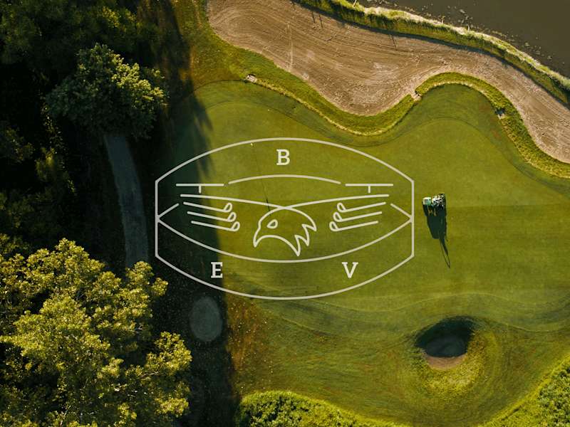 Cover image for Birdie Eye Views
