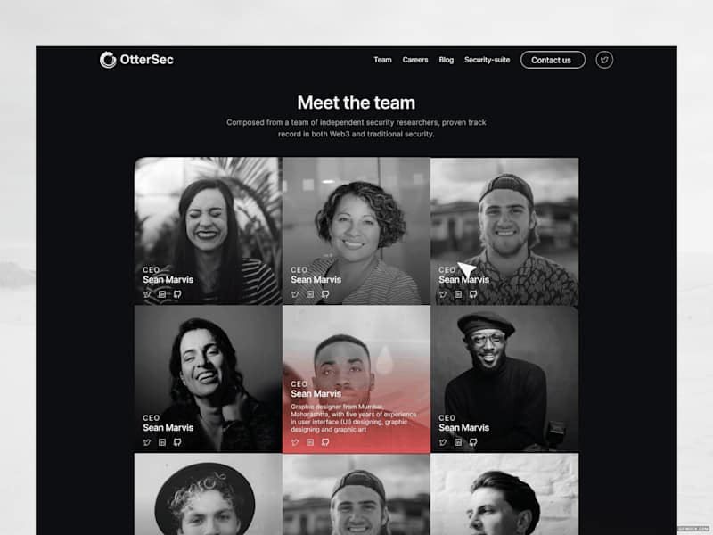 Cover image for Ottersec.io : B2B Saas Website Figma Design