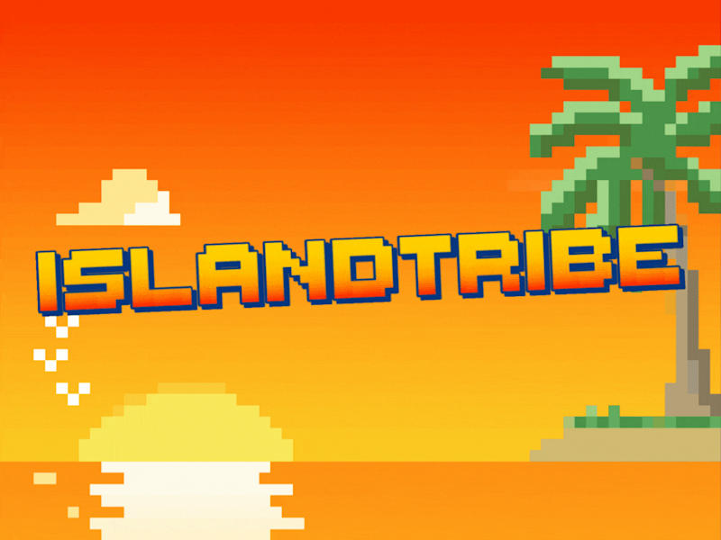 Cover image for Lead Developer - IslandTribe