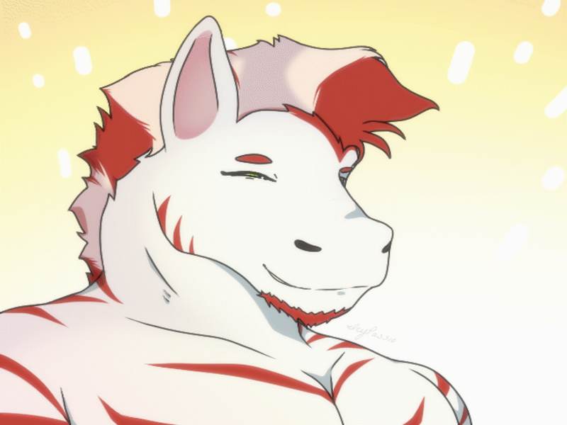 Cover image for Animation Portfolio Building (Ongoing)