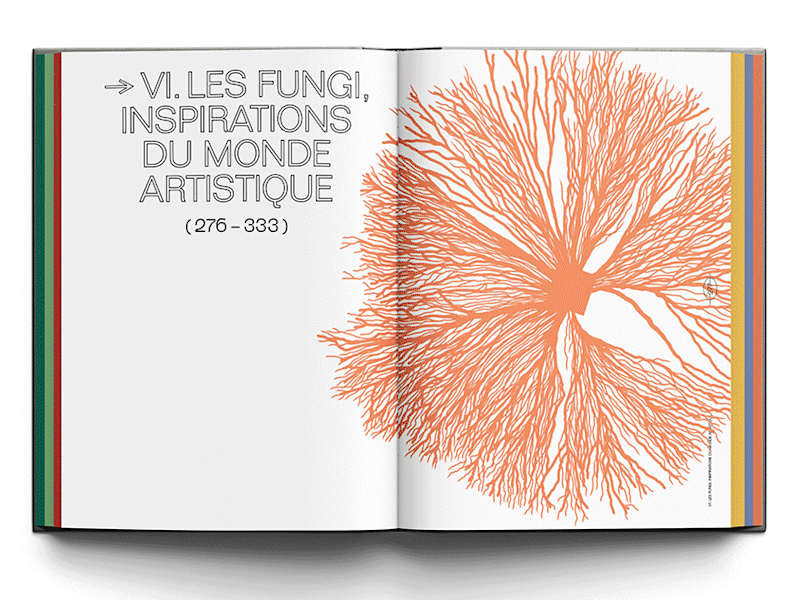 Cover image for Book design and lay out