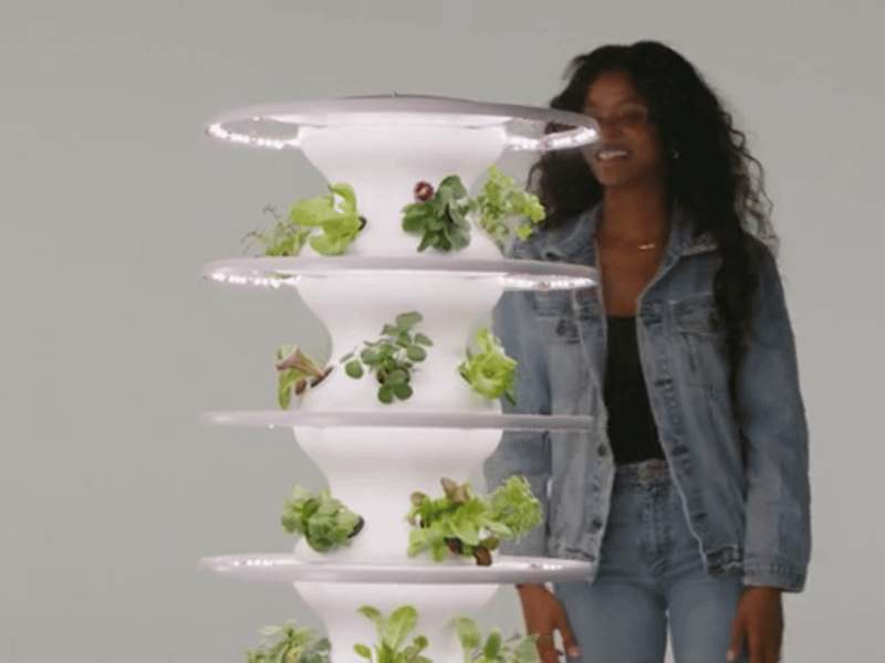 Cover image for Redesigned Lettuce Grow's Home Page