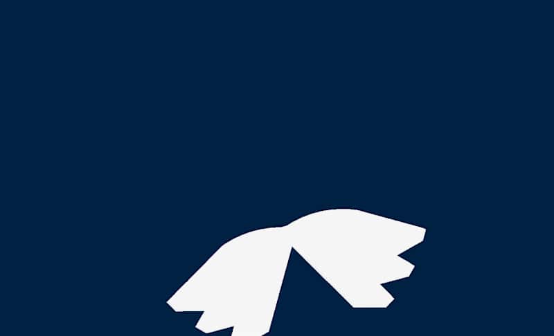 Cover image for Brand Identity for Lost and Last-Human Robotics