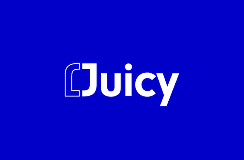 Cover image for Juicy Branding & Development