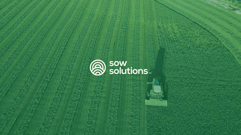 Cover image for Sow Solutions | Visual Identity 