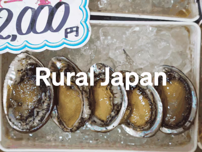 Cover image for Japan Countryside Tourism 