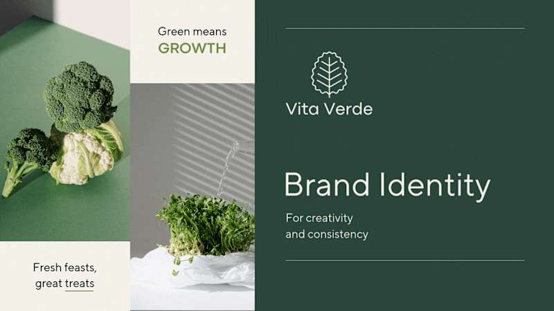 Cover image for Vita Verde Brand Identity Development