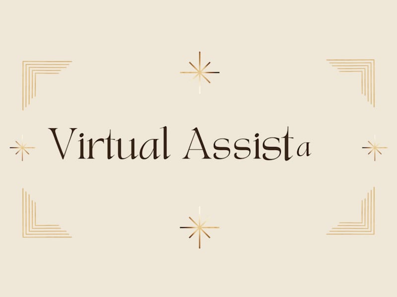 Cover image for Virtual Assistant for an Animation Company